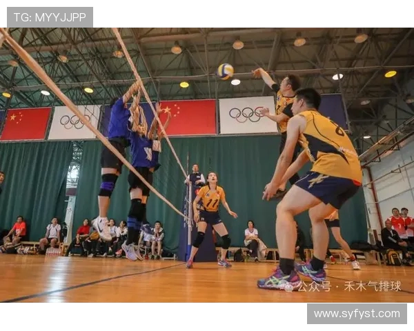 从零起步掌握排球技巧全面指南助你成为排球高手