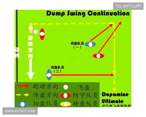 武汉飞盘队与重庆飞盘队赛后战术分析与总结探讨