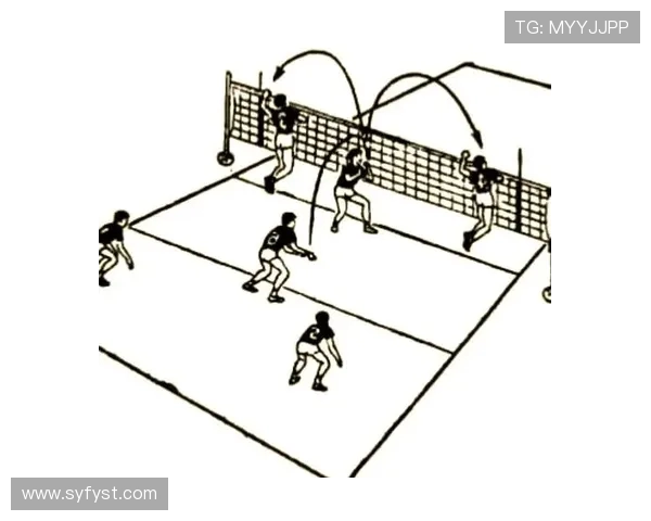 深入分析上海排球队的进攻策略与战术特点探讨